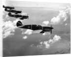 Curtiss P-40E "Warhawks" in Flight by Anonymous