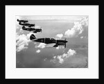 Curtiss P-40E "Warhawks" in Flight by Anonymous