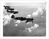 Curtiss P-40E "Warhawks" in Flight by Anonymous