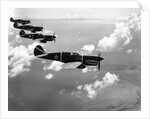 Curtiss P-40E "Warhawks" in Flight by Anonymous