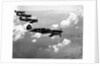 Curtiss P-40E "Warhawks" in Flight by Anonymous