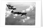 Curtiss P-40E "Warhawks" in Flight by Anonymous