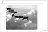 Curtiss P-40E "Warhawks" in Flight by Anonymous