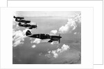 Curtiss P-40E "Warhawks" in Flight by Anonymous