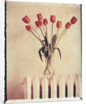 Vase of Tulips on a Radiator by Anonymous