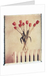 Vase of Tulips on a Radiator by Anonymous