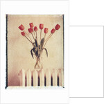 Vase of Tulips on a Radiator by Anonymous