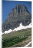 Reynolds Mountain in Summer by Anonymous