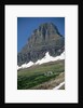 Reynolds Mountain in Summer by Anonymous