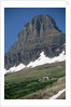 Reynolds Mountain in Summer by Anonymous