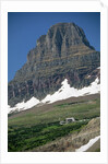 Reynolds Mountain in Summer by Anonymous