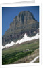 Reynolds Mountain in Summer by Anonymous
