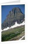 Reynolds Mountain in Summer by Anonymous