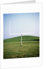 Goal Post in Field by Anonymous
