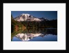 Mount Rainier Reflected in Bench Lake by Anonymous