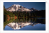Mount Rainier Reflected in Bench Lake by Anonymous