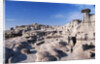 Desolate Canyon of Bisti Wilderness Area by Anonymous