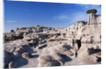 Desolate Canyon of Bisti Wilderness Area by Anonymous