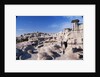 Desolate Canyon of Bisti Wilderness Area by Anonymous
