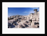 Desolate Canyon of Bisti Wilderness Area by Anonymous