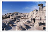 Desolate Canyon of Bisti Wilderness Area by Anonymous