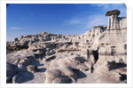 Desolate Canyon of Bisti Wilderness Area by Anonymous