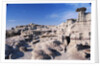 Desolate Canyon of Bisti Wilderness Area by Anonymous