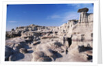 Desolate Canyon of Bisti Wilderness Area by Anonymous