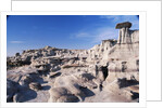 Desolate Canyon of Bisti Wilderness Area by Anonymous