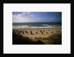 Wenningstedt Beach on Sylt Island by Anonymous