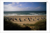 Wenningstedt Beach on Sylt Island by Anonymous