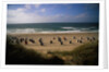 Wenningstedt Beach on Sylt Island by Anonymous