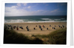 Wenningstedt Beach on Sylt Island by Anonymous