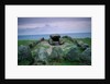 Stone Age Grave on German Island by Anonymous