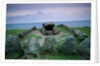 Stone Age Grave on German Island by Anonymous