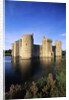 Bodiam Castle and Moat by Anonymous