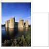 Bodiam Castle and Moat by Anonymous