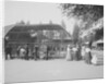 Tourists Visiting Central Park Menagerie by Anonymous