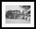 Tourists Visiting Central Park Menagerie by Anonymous