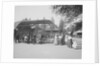 Tourists Visiting Central Park Menagerie by Anonymous