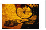 Bicycle Casting Shadow by Anonymous