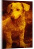 Dog by Andre Burian