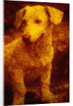 Dog by Andre Burian