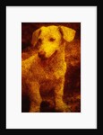 Dog by Andre Burian