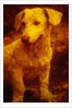 Dog by Andre Burian