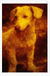 Dog by Andre Burian