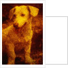 Dog by Andre Burian