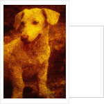 Dog by Andre Burian