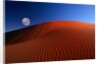 Full Moon over Red Dunes by Anonymous