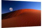 Full Moon over Red Dunes by Anonymous